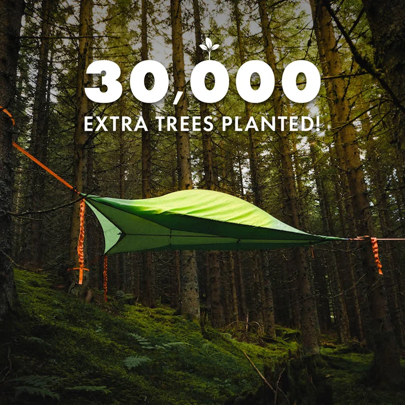 International Day of Forests Header