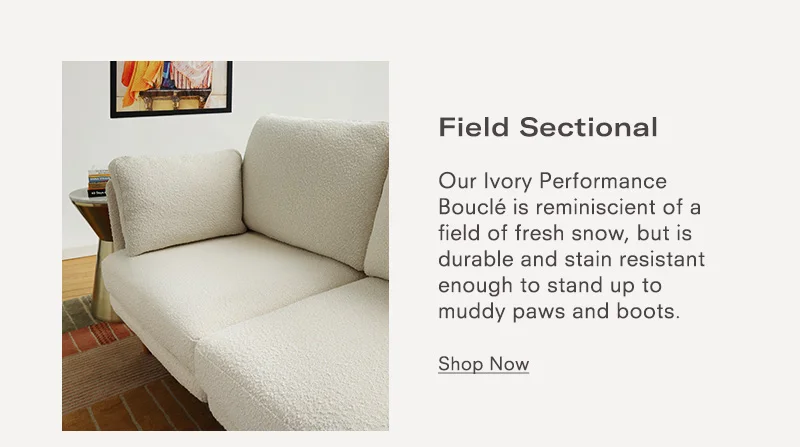 Field Sectional