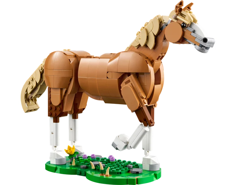 Beautiful Horse