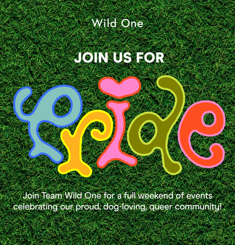 Join Team Wild One for a full weekend of events celebrating our proud, dog-loving, queer community!