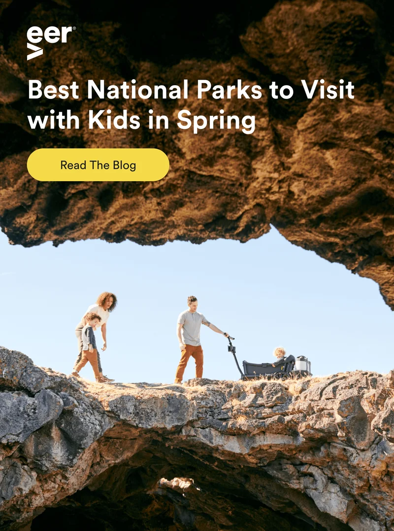 veer - best national parks to visit with kids in spring - read the blog
