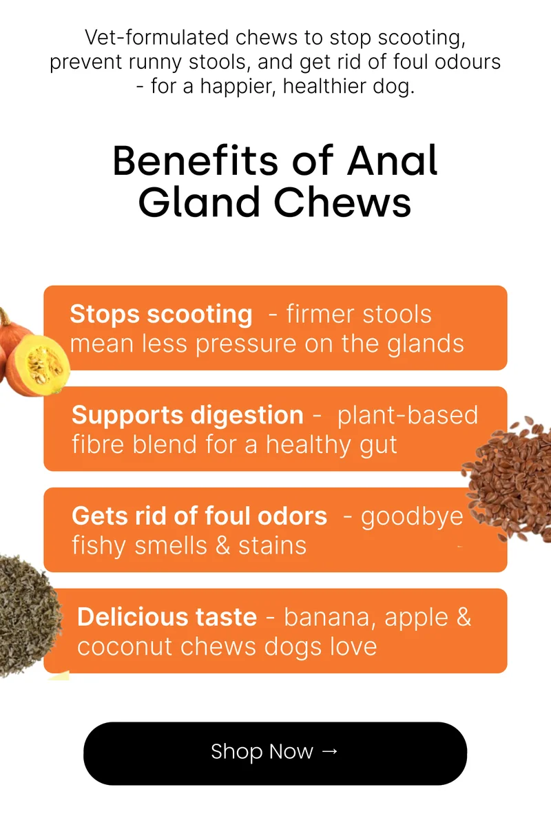 Shop Anal Gland Chews