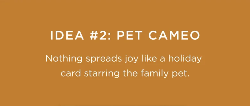 Idea #2: Pet Cameo