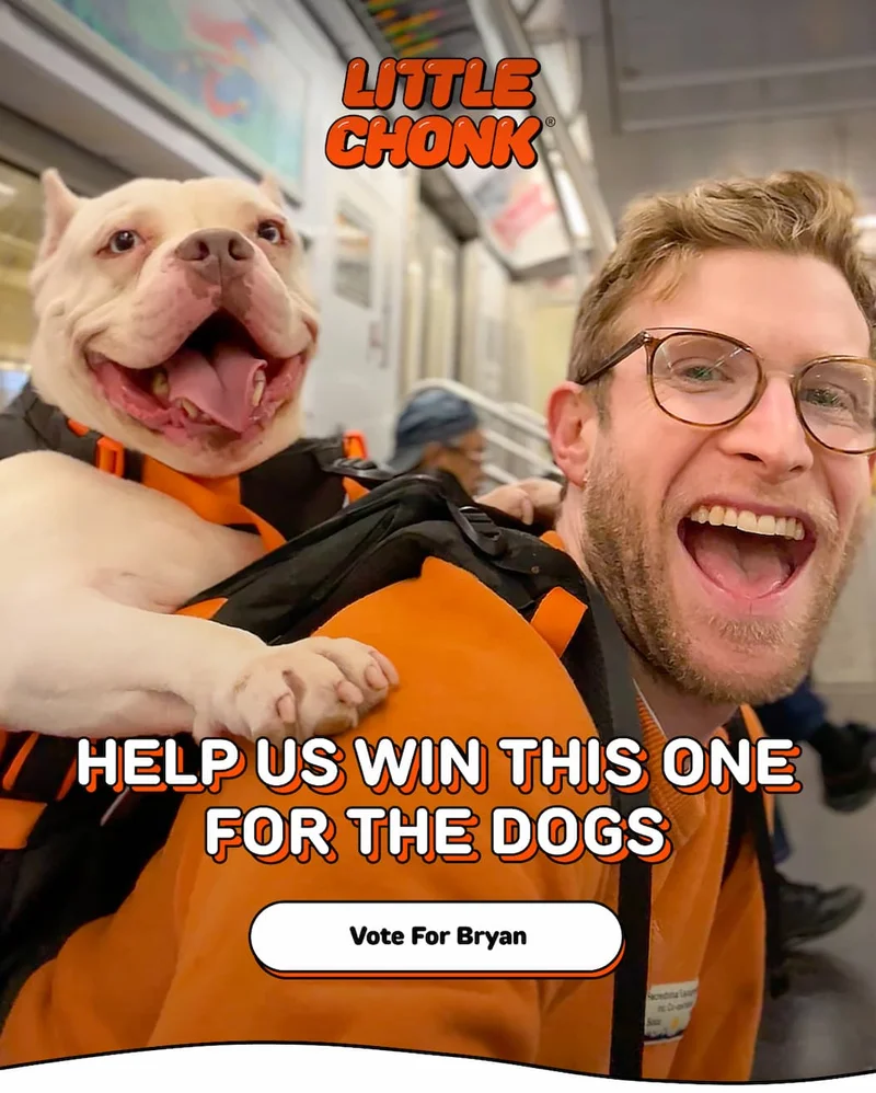 HELP US WIN THIS ONE FOR THE DOGS