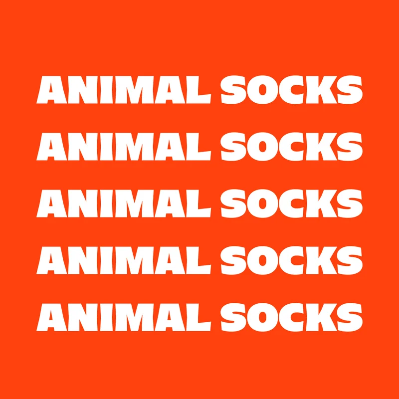 Animal Socks