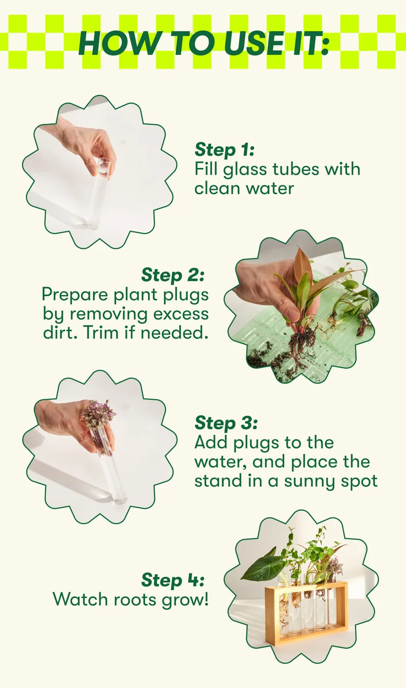 How to use it: Step 1: Fill glass tubes with clean water. Step 2: Prepare plant plugs by removing excess dirt. Trim if needed .Step 3: Add plugs to the water, and place the stand in a sunny spot. Step 4: Watch roots grow!