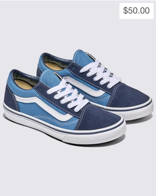Youth Old Skool Shoe