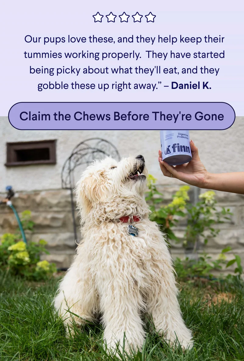 5 Star Customer Review: Our pups love these, and they help keep their tummies working properly.&nbsp; They have started being picky about what they'll eat, and they gobble these up right away.” – Daniel K. CTA: Claim The Chews Before They're Gone