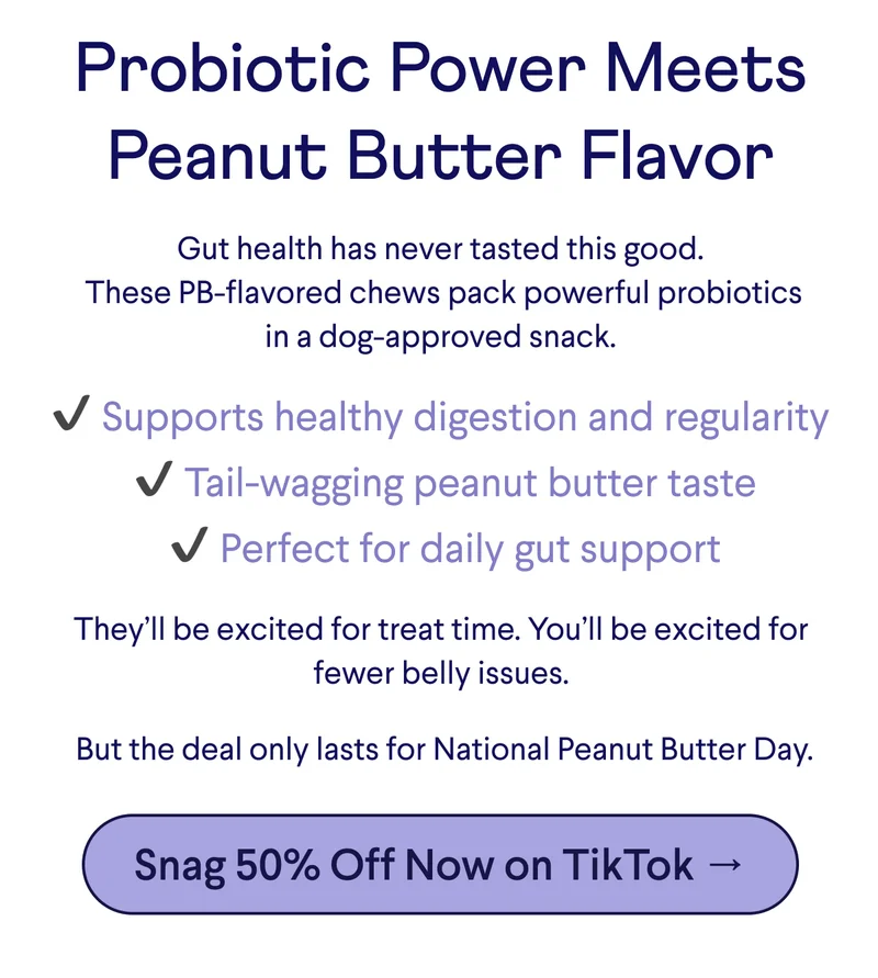 Text: Probiotic Power Meets Peanut Butter Flavor  Gut health has never tasted this good.  These PB-flavored chews pack powerful probiotics in a dog-approved snack.   ✔ Supports healthy digestion and regularity  ✔ Tail-wagging peanut butter taste  ✔ Perfect for daily gut support They’ll be excited for treat time. You’ll be excited for fewer belly issues.   But the deal only lasts for National Peanut Butter Day. CTA: Snag 50% Off Now on TikTok →