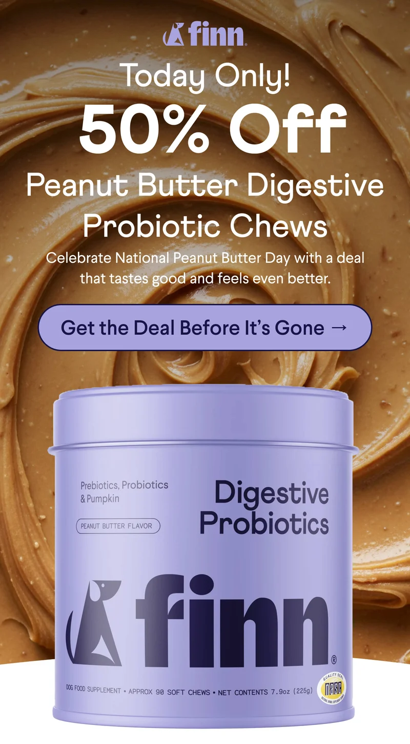 Finn logo. Header: Today Only! &nbsp;50% Off Peanut Butter Digestive Probiotic Chews Celebrate National Peanut Butter Day with a deal that tastes good and feels even better. CTA: Get the Deal Before It’s Gone →