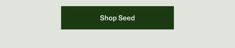 Shop Seed