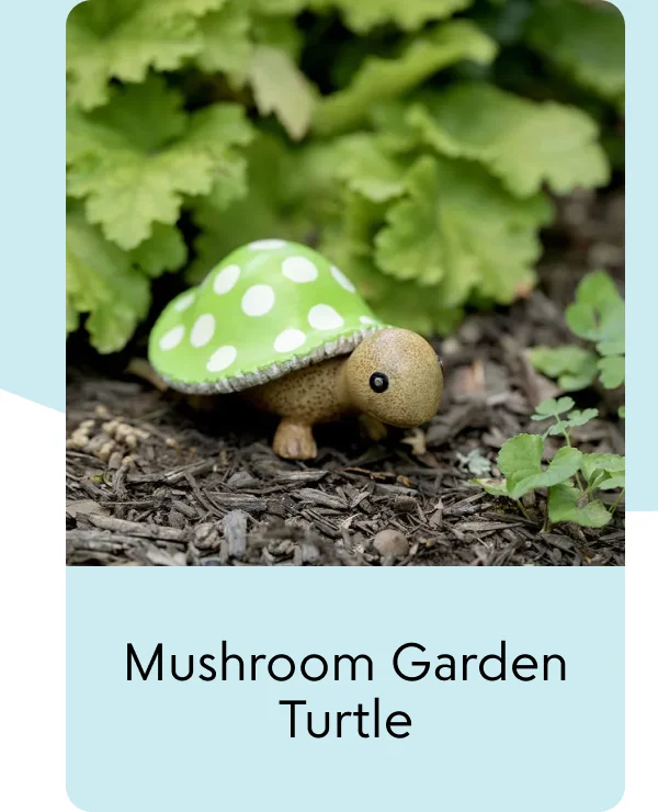 mushroom-garden-turtle