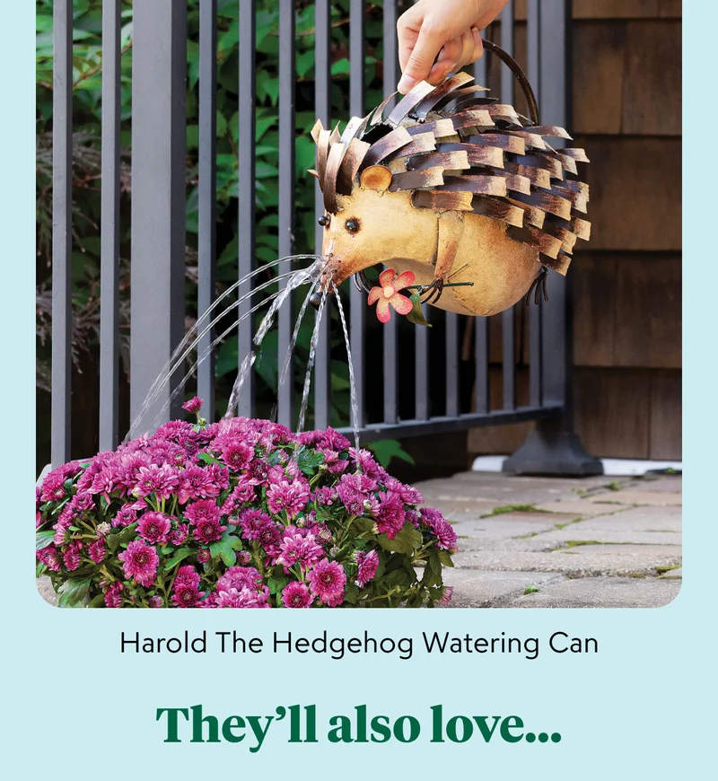 harold-the-hedgehog-watering-can