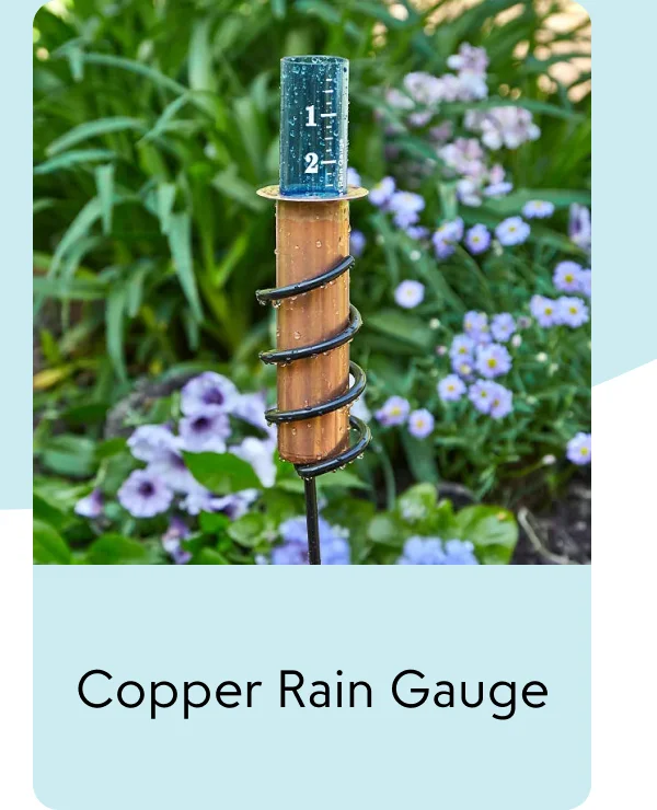 copper-rain-gauge