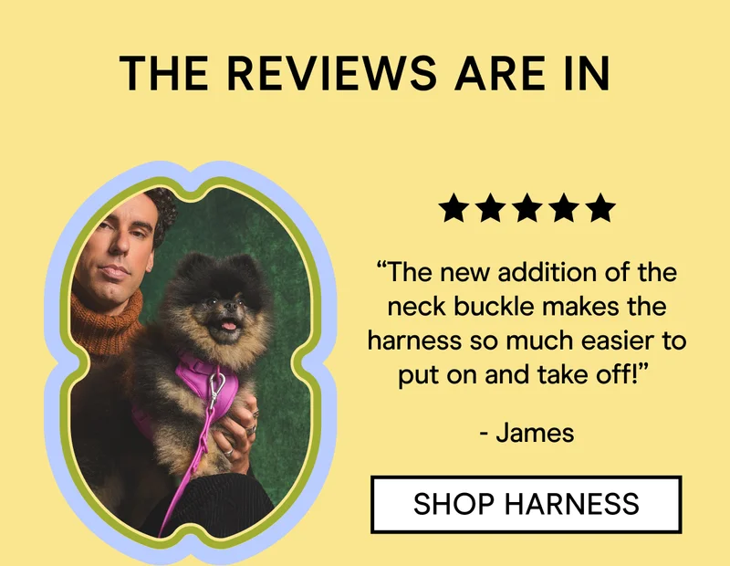 “The new addition of the neck buckle makes the harness so much easier to put on and take off!”  - James Shop Harness