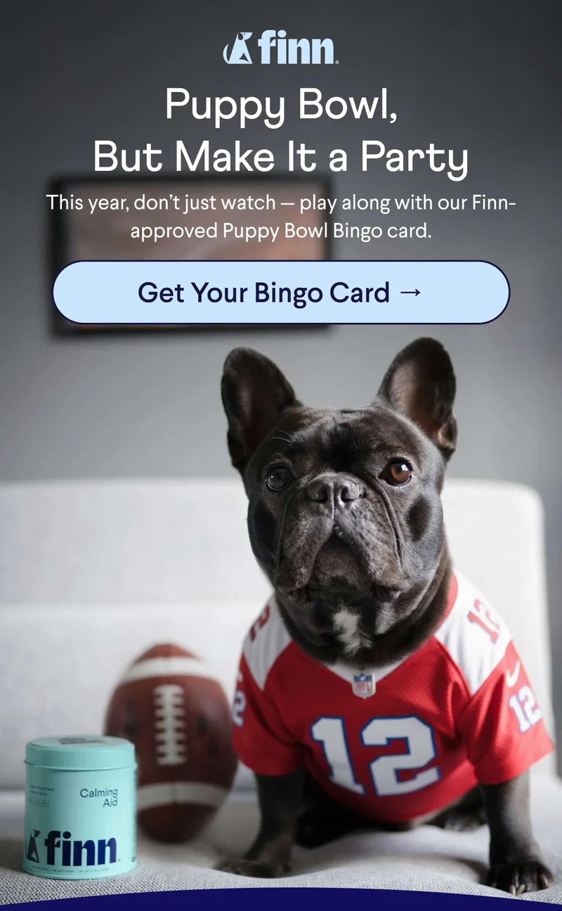 Finn logo. Text:&nbsp;Puppy Bowl, But Make It a Party This year, don’t just watch — play along with our Finn-approved Puppy Bowl Bingo card. CTA: Get Your Bingo Card →