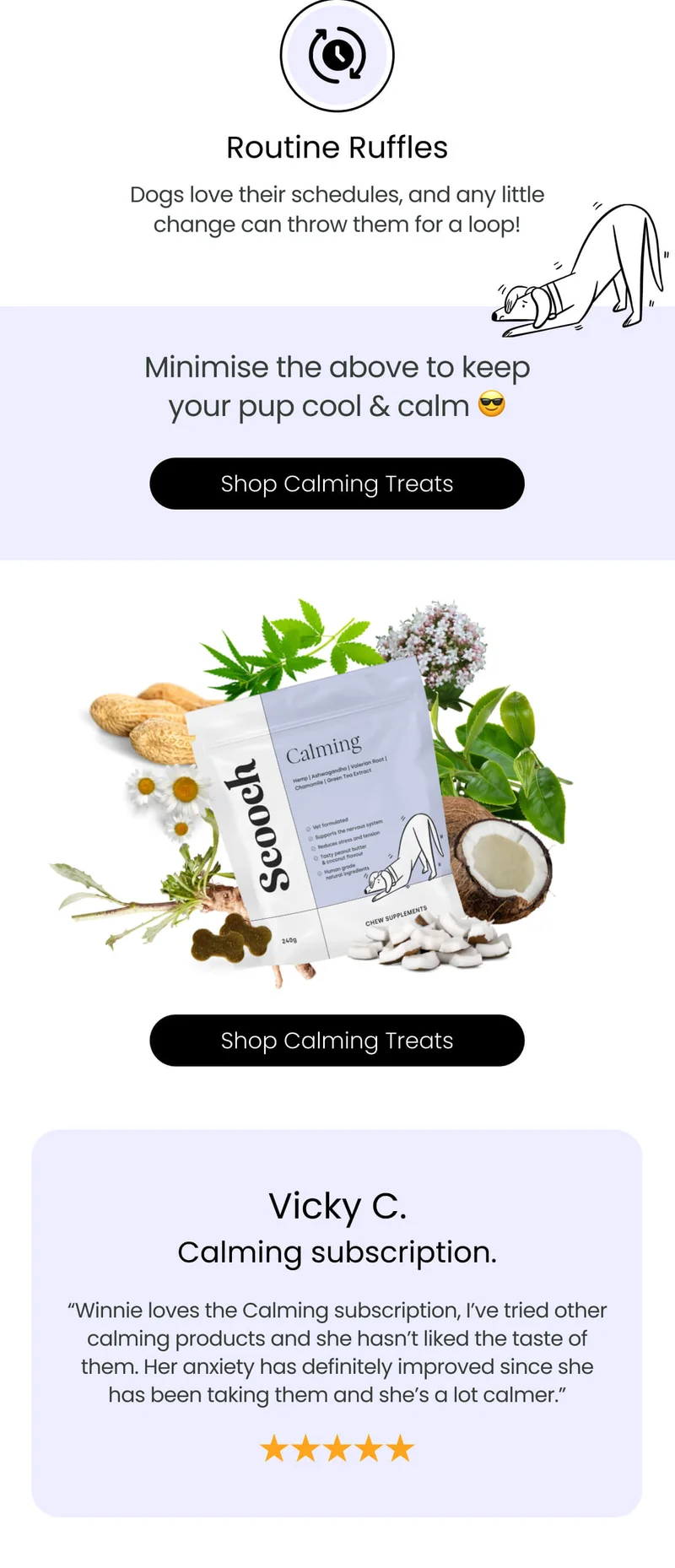 Keep your pup cool and calm - Shop Calming Treats