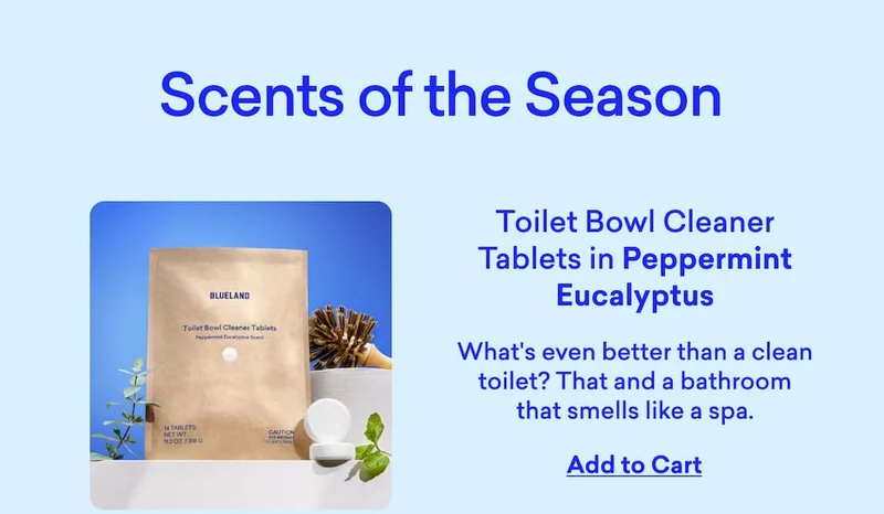 Toilet Bowl Cleaner Tablets in Peppermint Eucalyptus