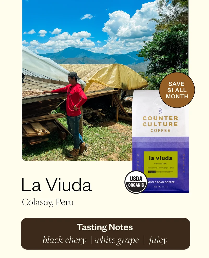 La Viuda Colasay, Peru Tasting notes black cherry white grape juicy