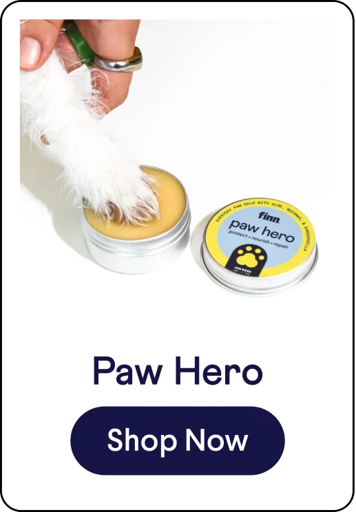 Paw Hero