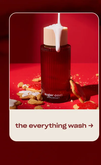 the everything wash