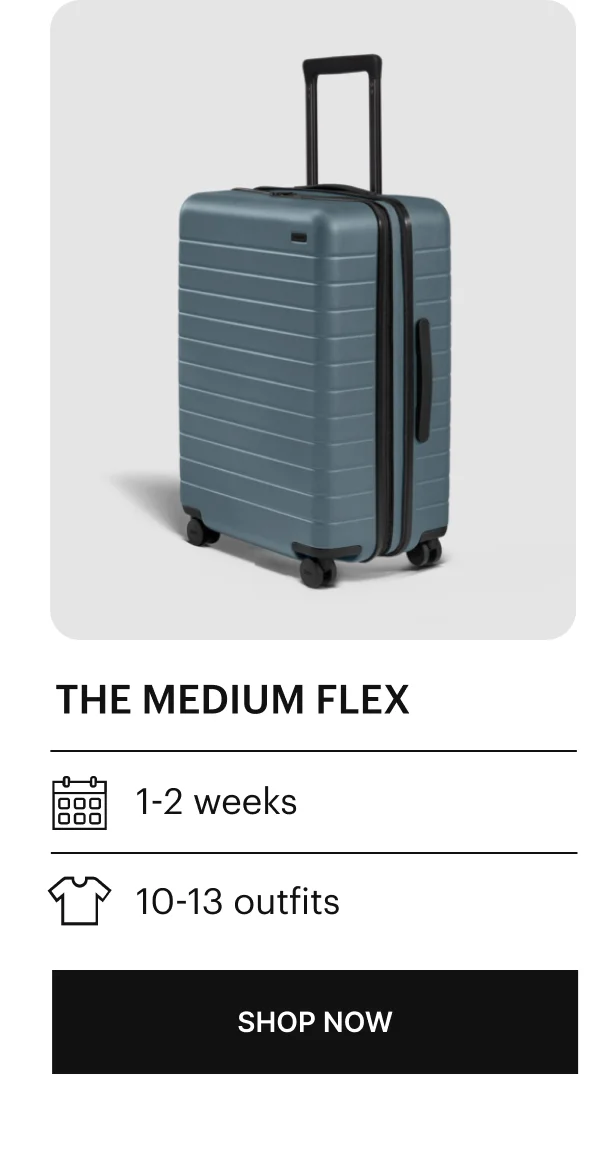 The Medium Clear Luggage Cover