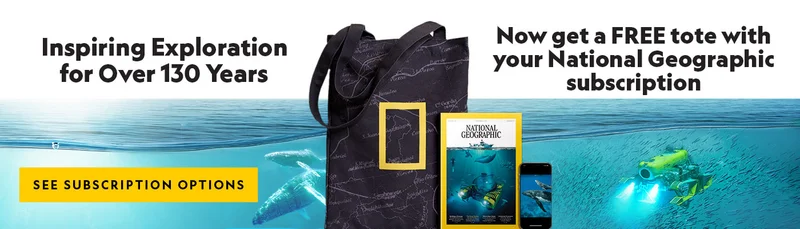 Subscribe to Nat Geo Today! Now get a FREE tote.