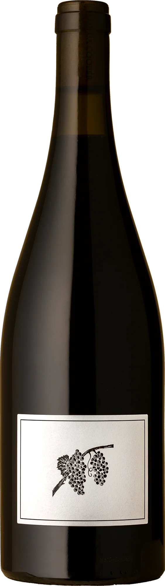Image of Joshua Cooper <br> Syrah 2023