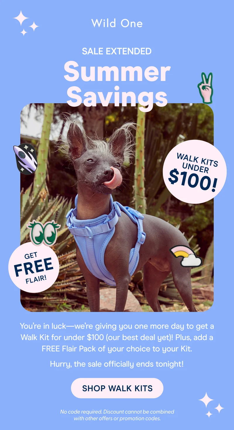You’re in luck—we’re giving you one more day to get a Walk Kit for under $100 (our best deal yet)! Plus, add a FREE Flair Pack of your choice to your Kit. Hurry, the sale officially ends tonight!