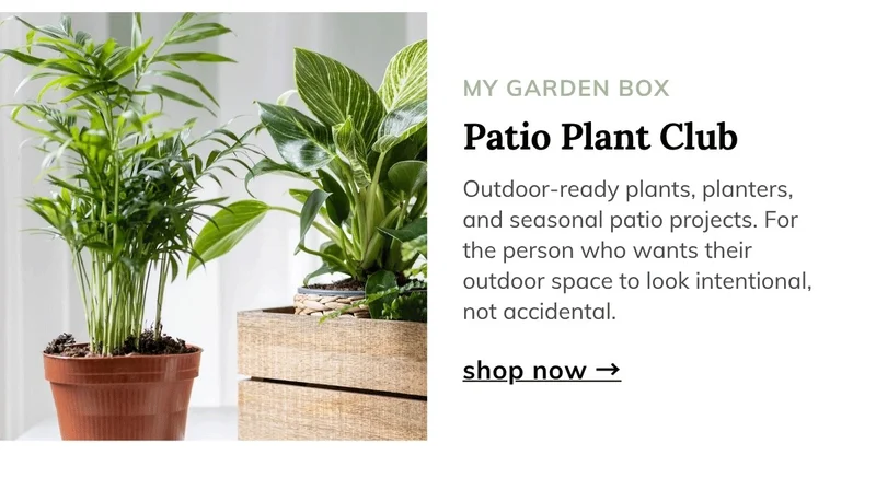 Patio Plant Club