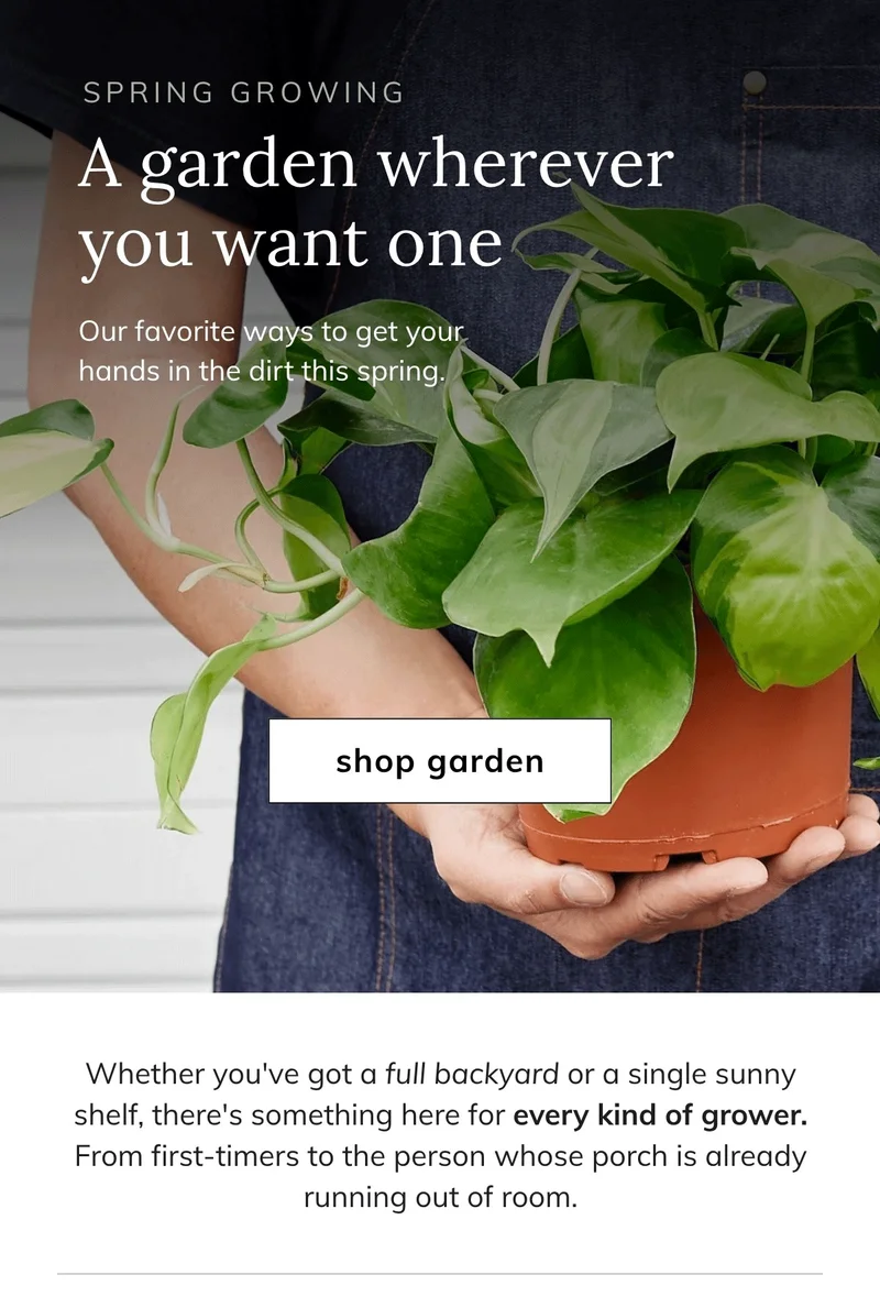 Shop plant & garden