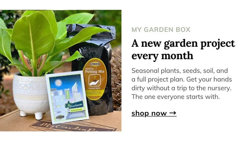 My Garden Box DIY