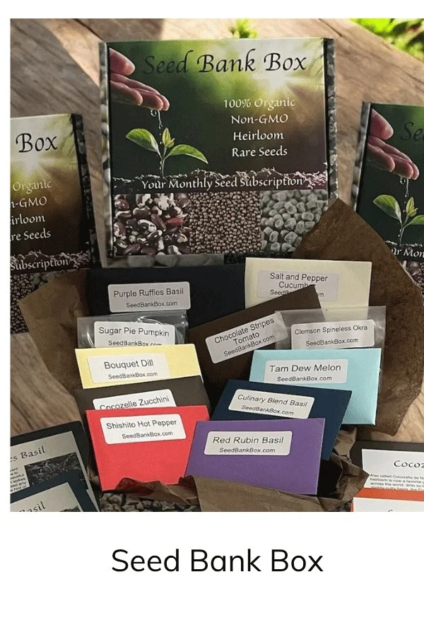 Seed Bank Box