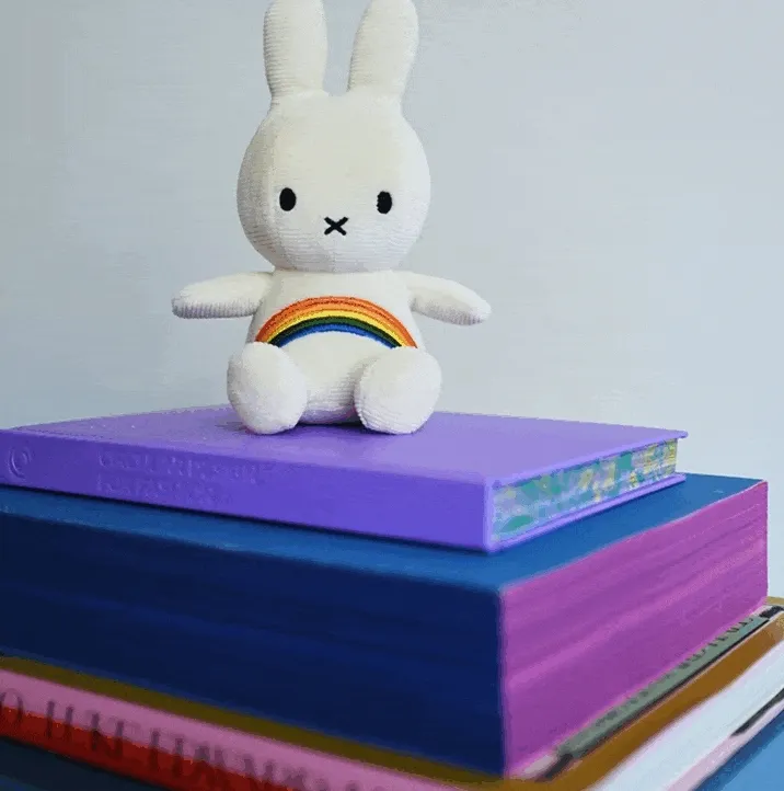 A GIF of a bunny with a rainbow stripe, a person wearing rainbow socks, and socks with disco balls around them