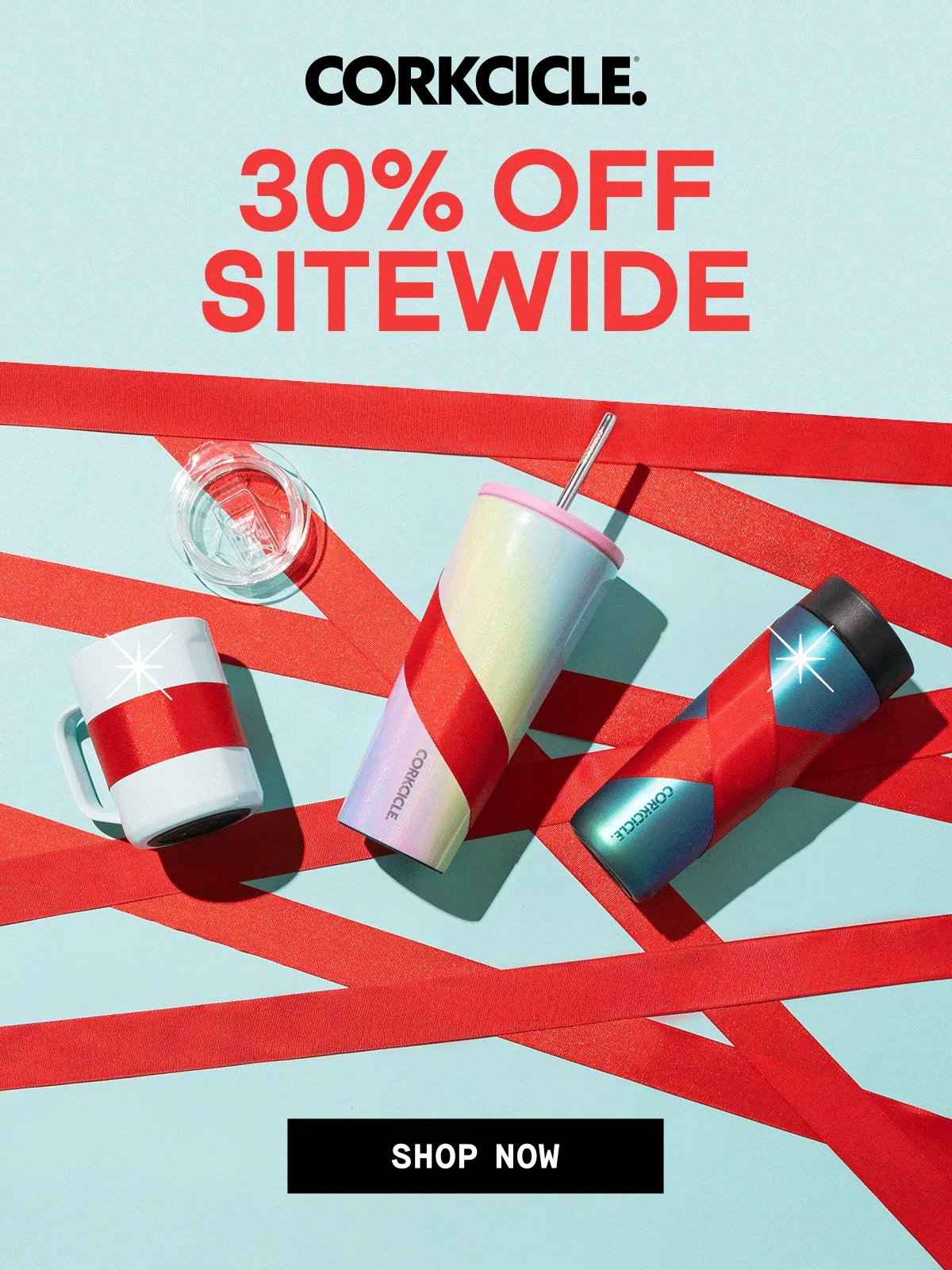 Shop 30% Off for 24 Hours Only!