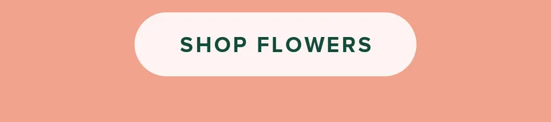 Shop Flowers