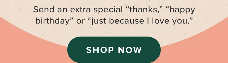 SHOP NOW