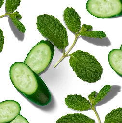 Cucumber and Mint