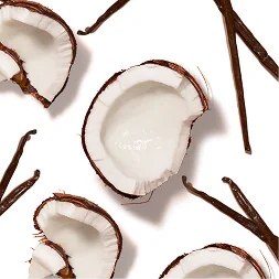 Coconut and Vanilla
