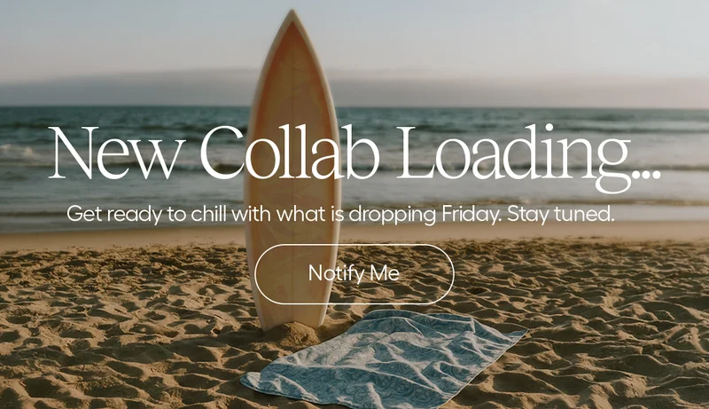 New Collab Loading... Get Ready to chill with what is dropping Friday. Stay tuned. - Notify Me