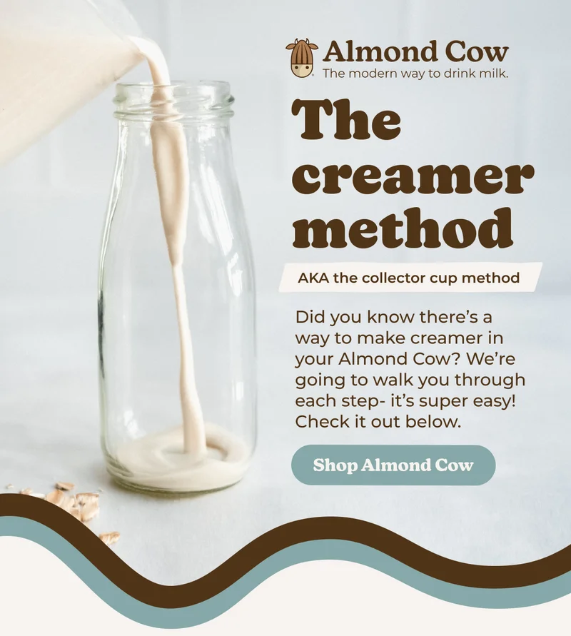 Shop Almond Cow and learn how to make creamer in it!