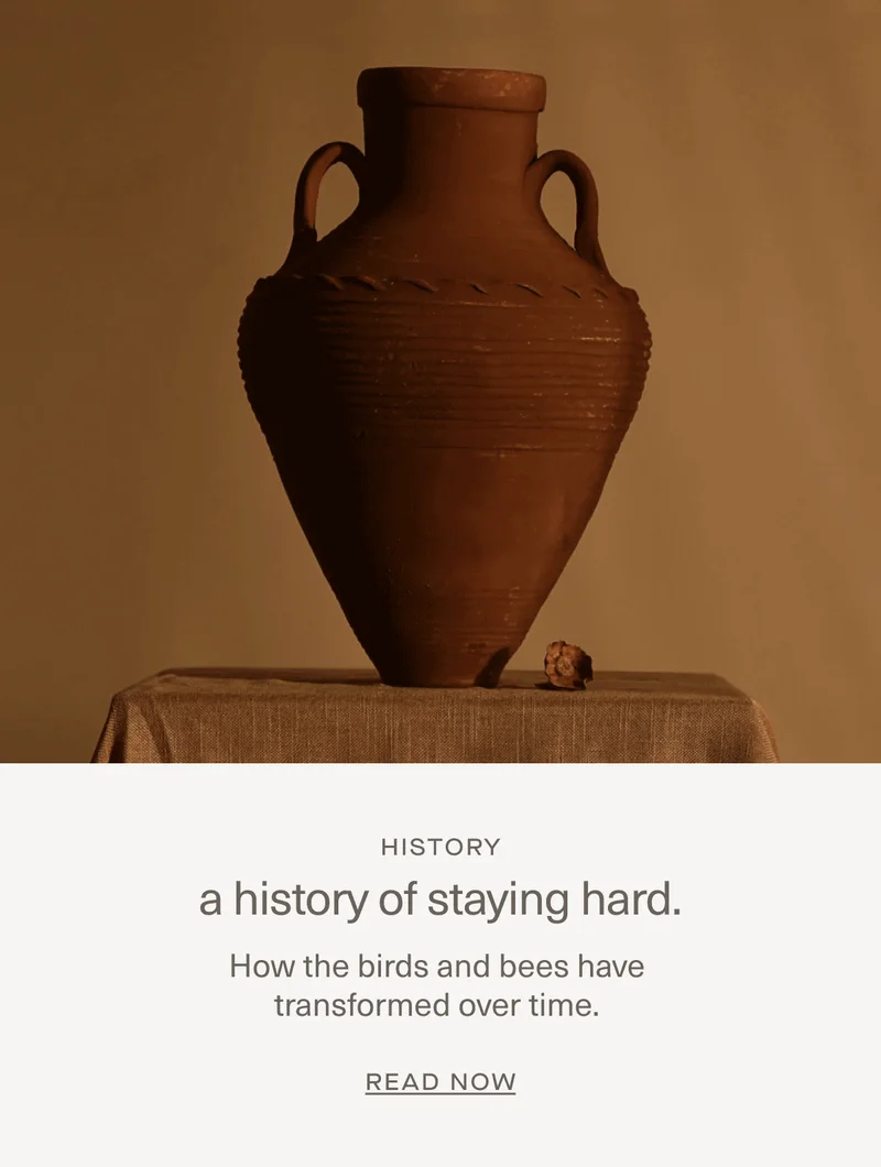 A history of staying hard.
