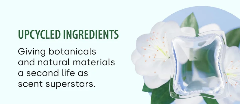 upcycled ingredients Giving botanicals and natural materials a second life as scent superstars.