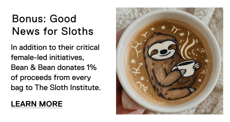 Bonus: Good News for Sloths