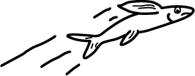 A line drawing of a flying fish