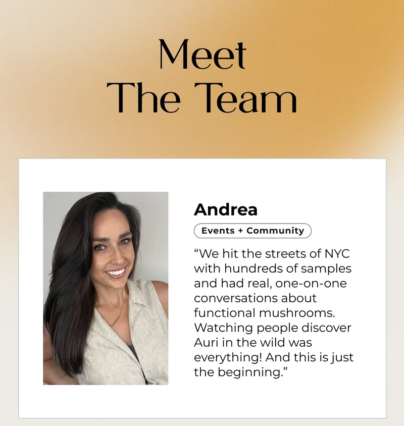 MEET THE TEAM