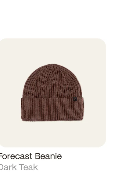 Forecast Beanie Dark Teak