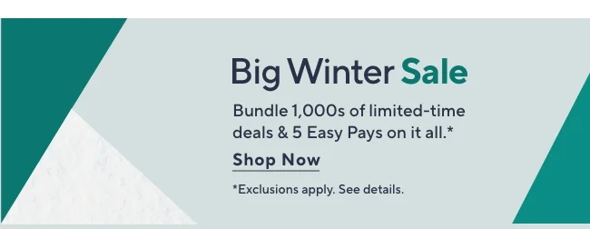 Big Winter Sale
