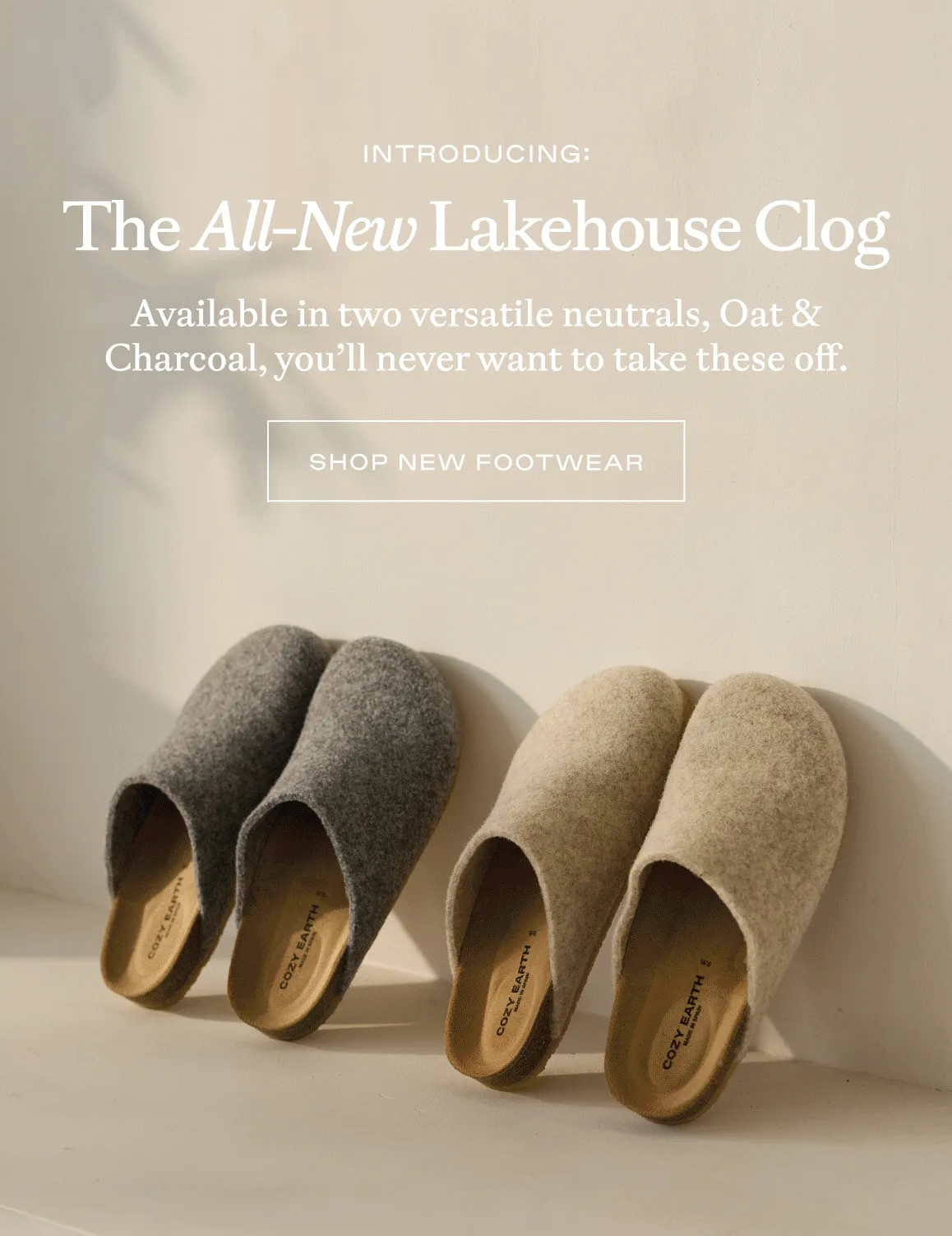 The ALL NEW LAKEHOUSE CLOG