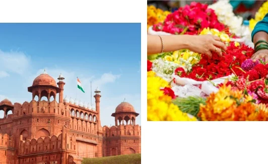 Left: Blue sky over the Red Fort in Delhi Right: Piles of colorful flower petals.